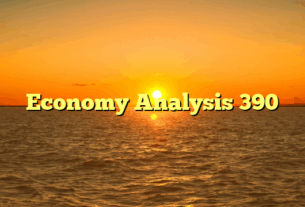 Economy Analysis 390